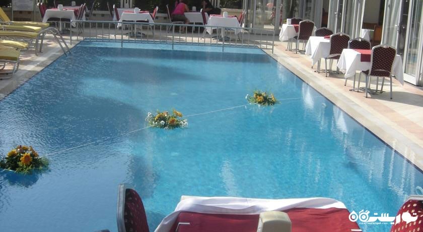 نمای استخر روباز